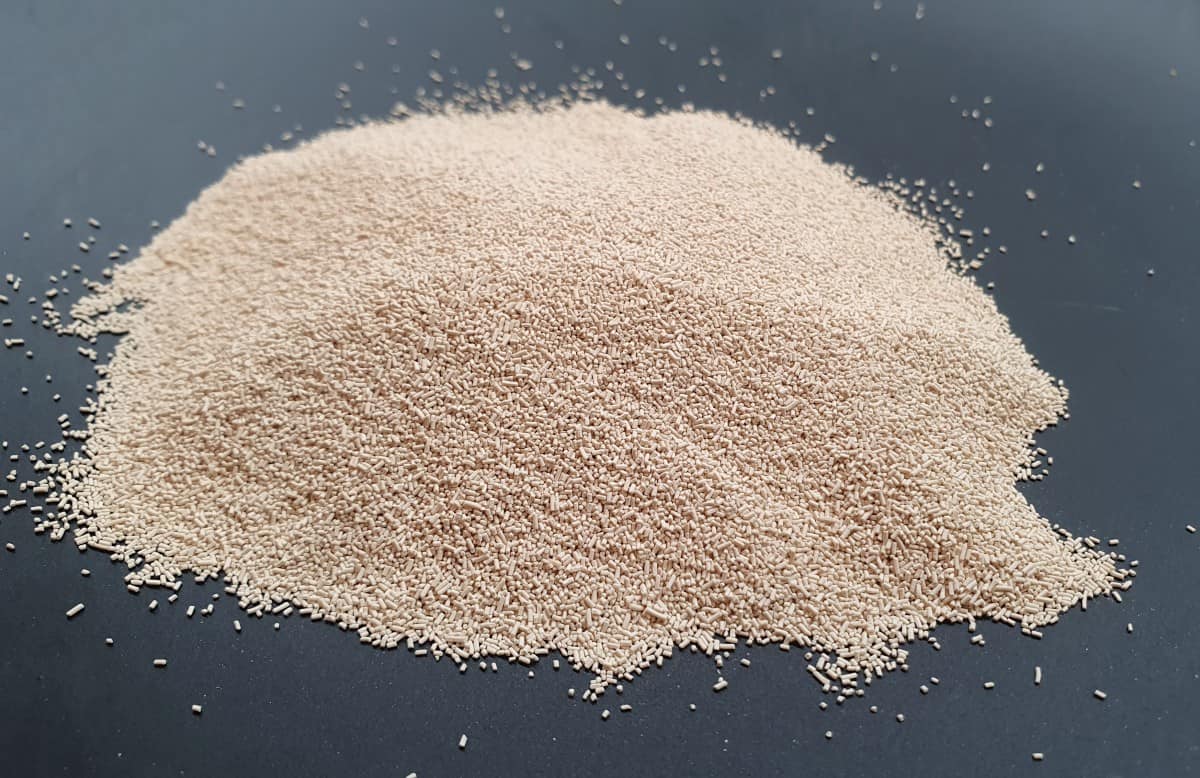 What Are the Differences Between Fresh yeast, Dry Yeast, and Sourdough